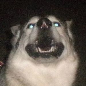 Meet your Posher, Joni